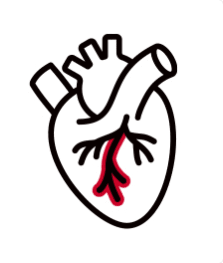 Icon Herzinfarkt