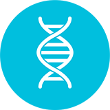 Icon: Erbliche-Nierenerkrankung