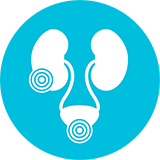 Icon: Abflusshindernisse in den Nieren oder der Blase