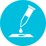 Icon: Blutuntersuchung